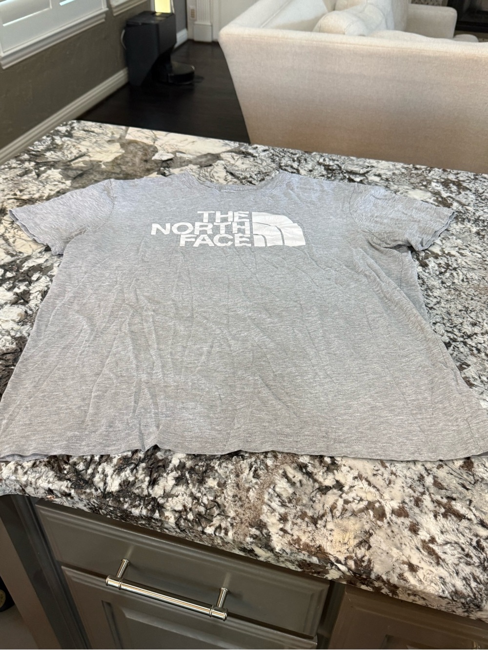 The North Face Men’s Gray T-Shirt – XL